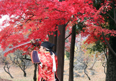 赤と紅１