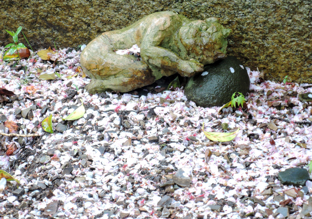 小鬼のお昼寝
