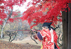 赤と紅２