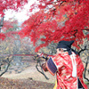 赤と紅２