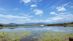長野県・塩田平のため池「舌喰池」