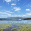 長野県・塩田平のため池「舌喰池」