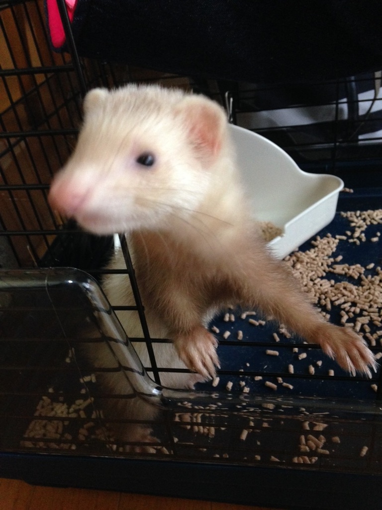 赤ちゃん時代