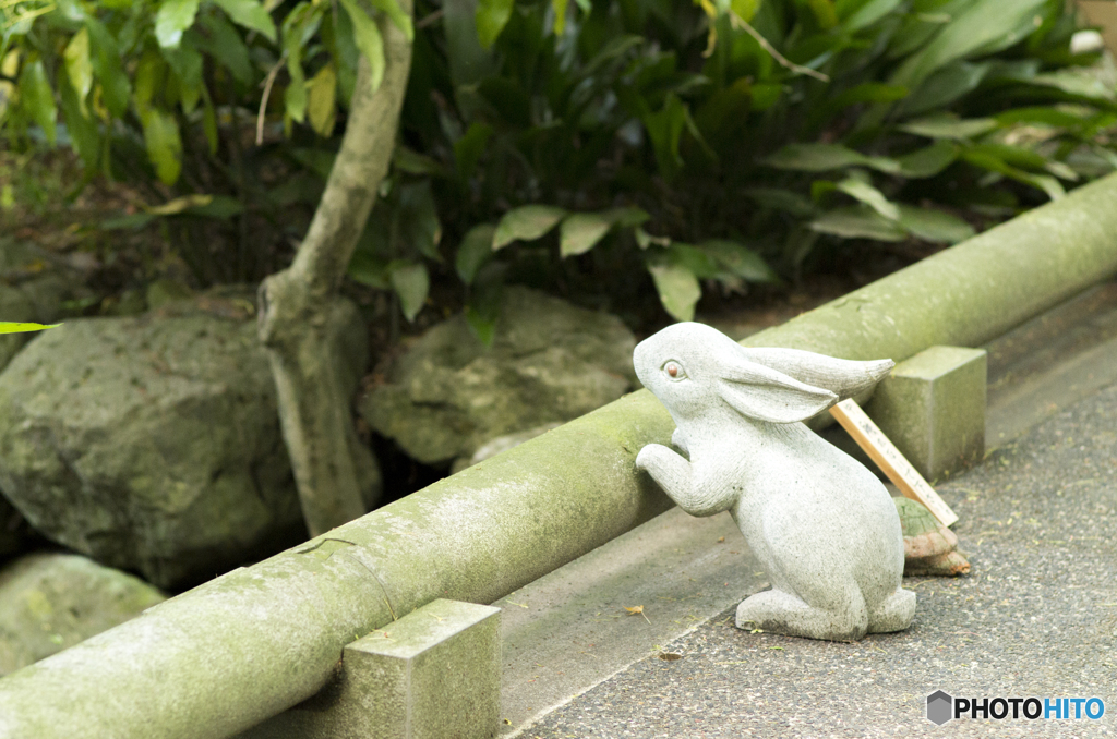 この勝負はウサギが一歩リードかな