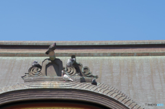鶴岡八幡宮の屋根