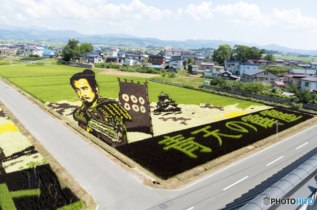 真田丸田んぼアート②