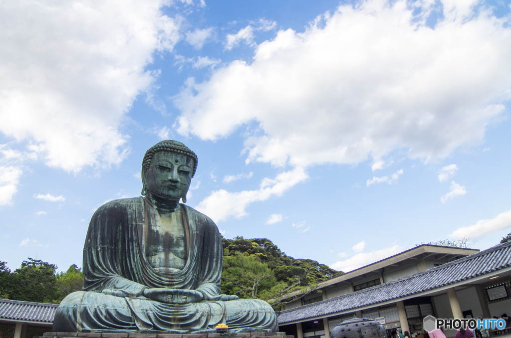15年ぶりに拝みました鎌倉の大仏