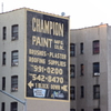 Champion ........ paint