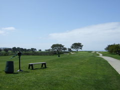 Torrey Pines