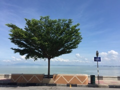 Penang 