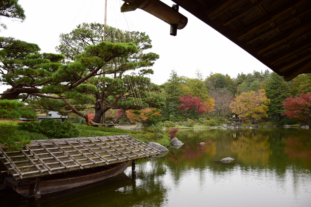 昭和記念公園の晩秋