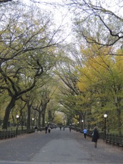 Central Park
