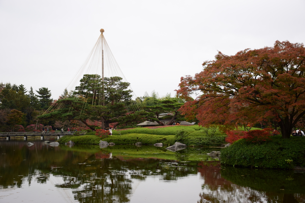 昭和記念公園の晩秋