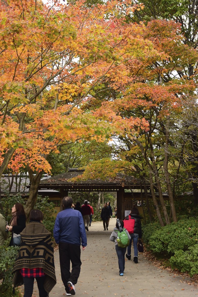 昭和記念公園の晩秋