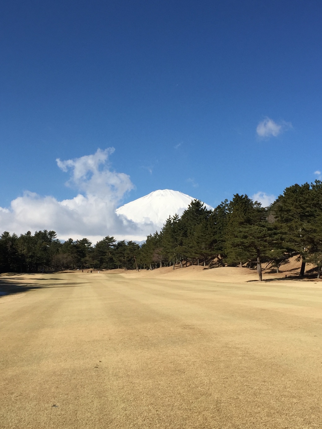 Wonderful day of golf