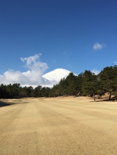Wonderful day of golf