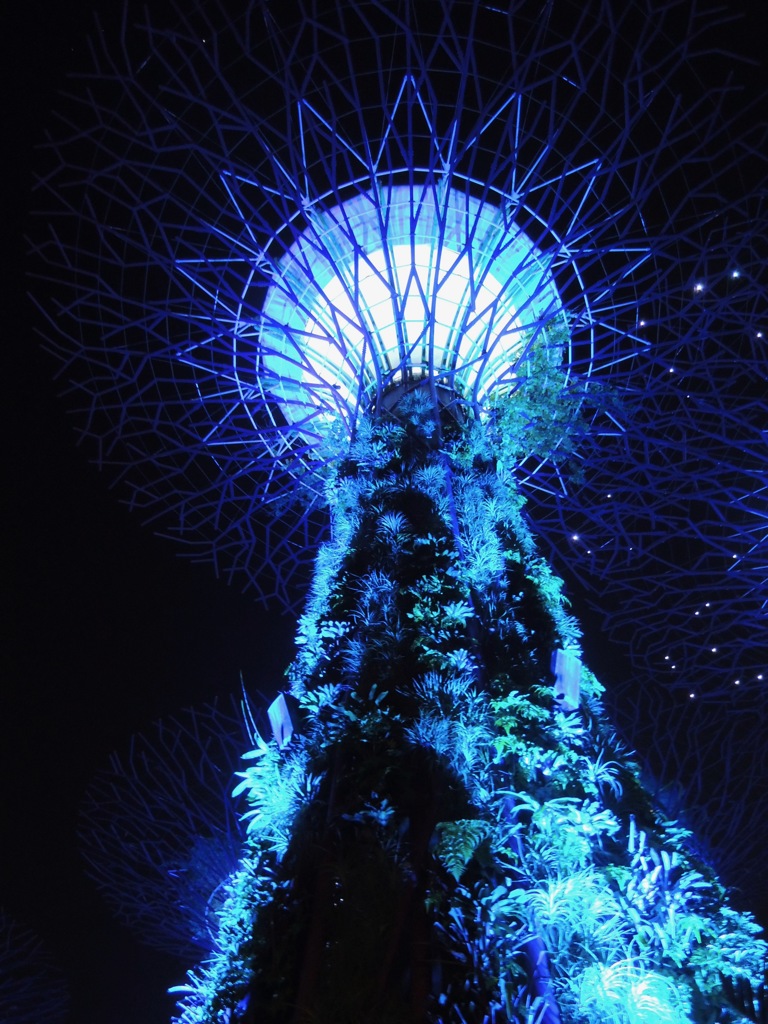 Blue Tree