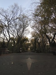 Central Park