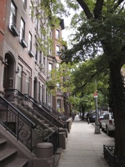 Street