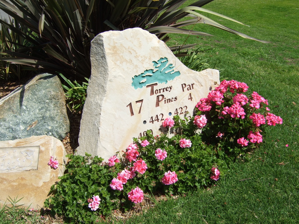 Torrey Pine 17