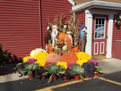 Halloween at NJ