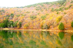 晩秋　四尾連湖