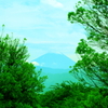 梅雨の中休み♪久々の全体像♪
