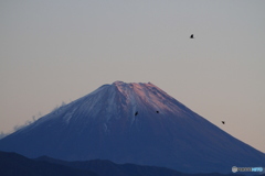 富士山冠雪