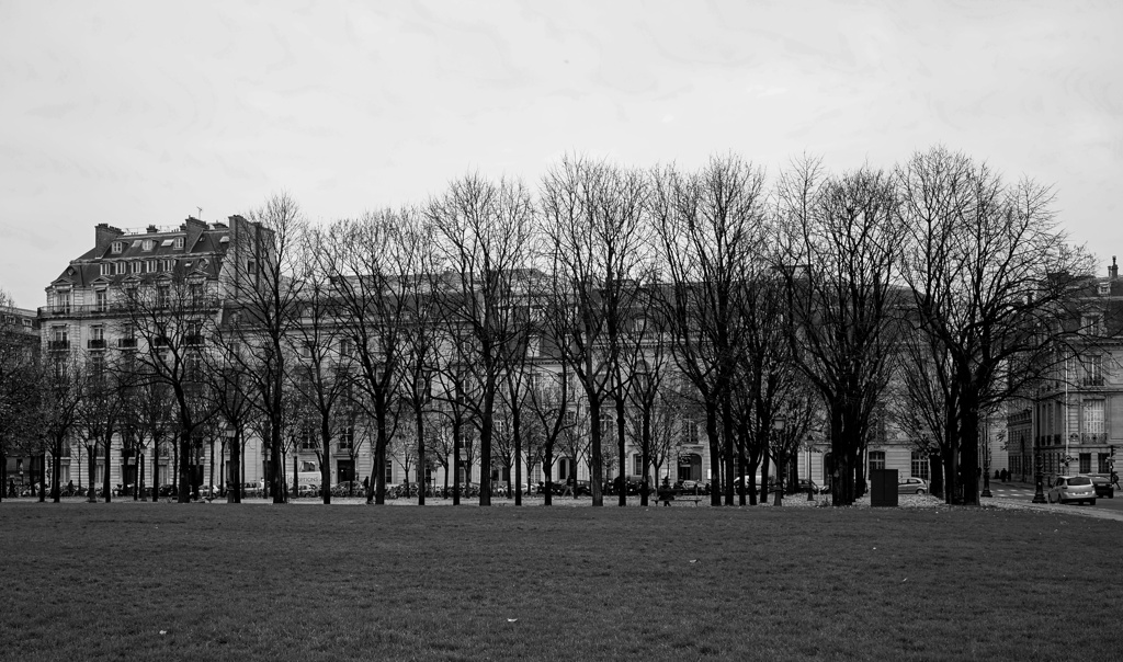 Paris devant l'hotel des invalides