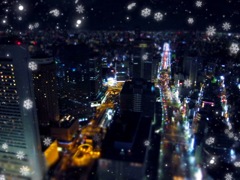 冬都会
