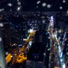 冬都会