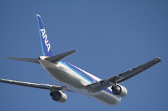 B767