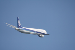 ANA B767