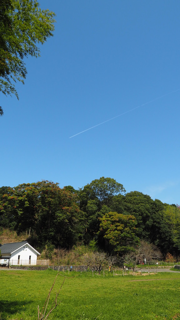 里山とひこうき雲