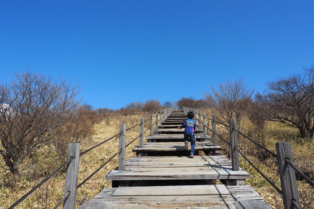 大人の階段昇る