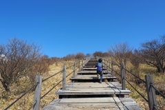 大人の階段昇る