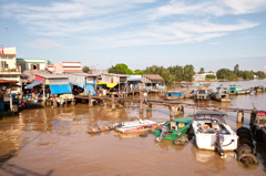 Viet Num 12