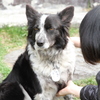追いかける01