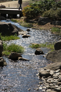 公園