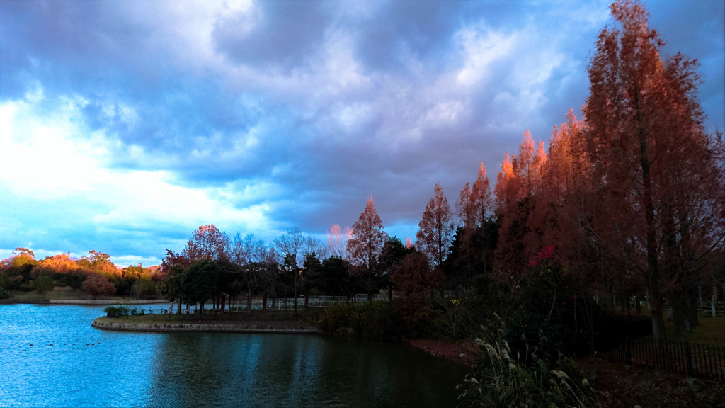 冬、夕暮れ