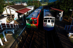 土讃線吉野生駅にて