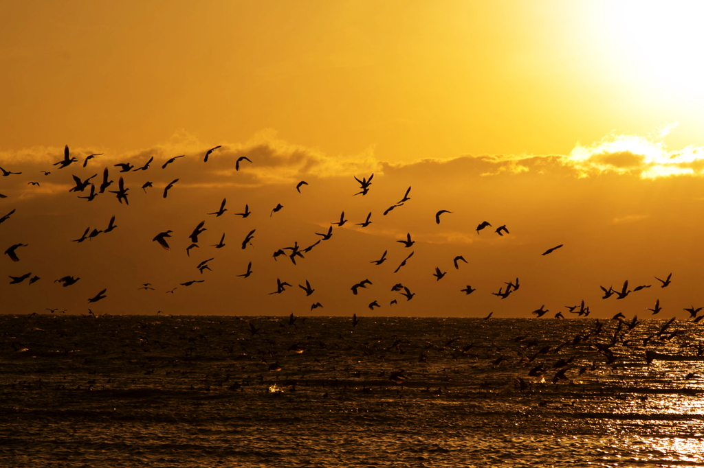 琵琶湖夕景