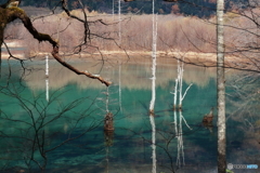 大正池