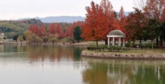 秋の蜻蛉池公園
