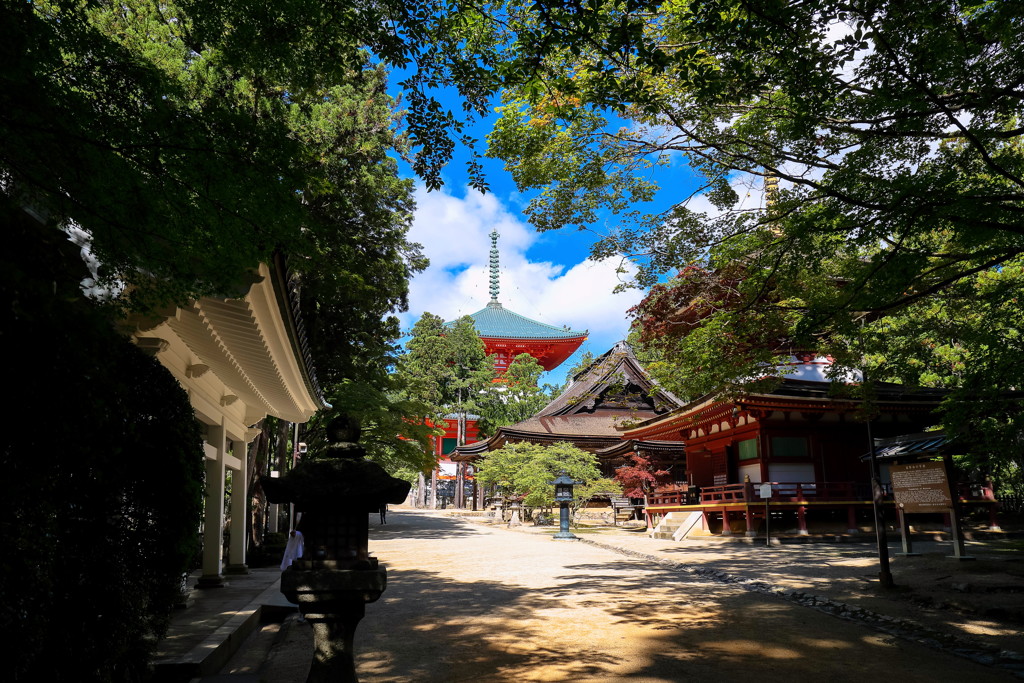 夏、高野山