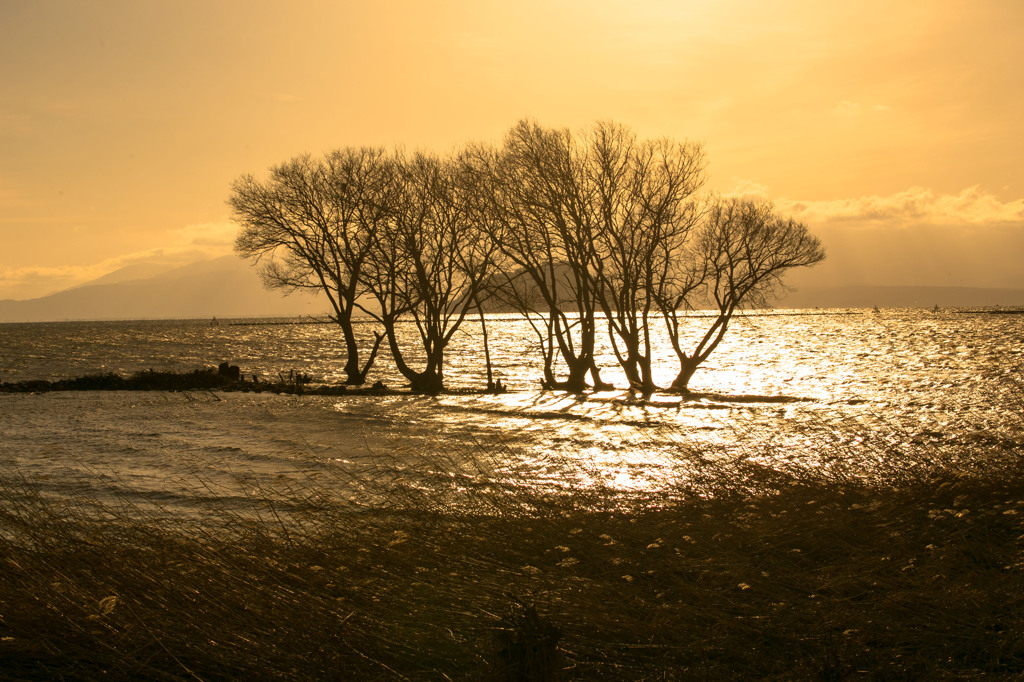 琵琶湖夕景