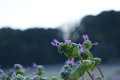 DSC01210
