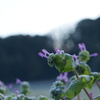 DSC01210