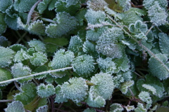 DSC01213