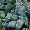 DSC01213